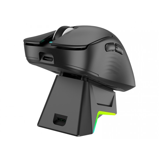 TRACER Комп. мишка NORD RGB (2.4GHz+BT) RF  